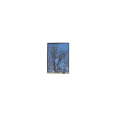 Bom preço 5.5 polegadas LS055T1SX29 1080*1920 FHD LCD painel de exibição on-line