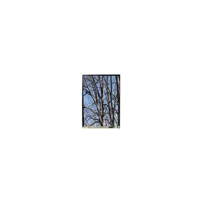 Bom preço LS055T3SX03 5,5 polegadas LCD Display Screen para Telefone Móvel on-line