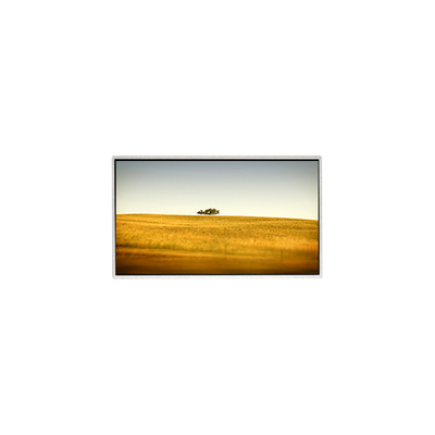 Bom preço Venda Quente 10,1 polegadas TT101WSQ-N10 1024 * 600 tela LCD para Netbook PC on-line