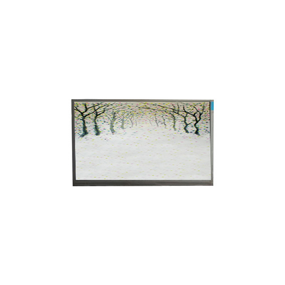 Bom preço R125NWR3 R3 Módulo LCD de 12,5 polegadas 1366*768 ecrã LCD on-line