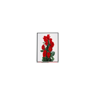 Bom preço NOVO 6.2 polegadas C062SWP1-1 800*480 LCD Display on-line