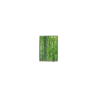 Bom preço LS055D1SX04 5.5 polegadas 4K LCD Screen Original LCD Painel on-line