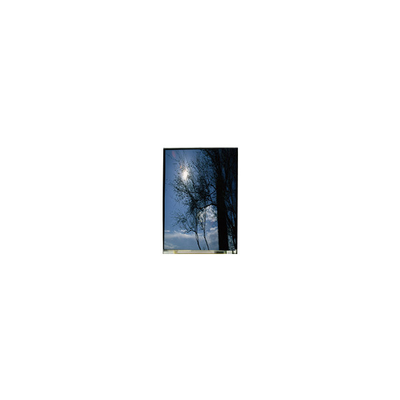 Bom preço LS055T1SX09 5,5 polegadas 1080*1920 TFT-LCD LCD on-line