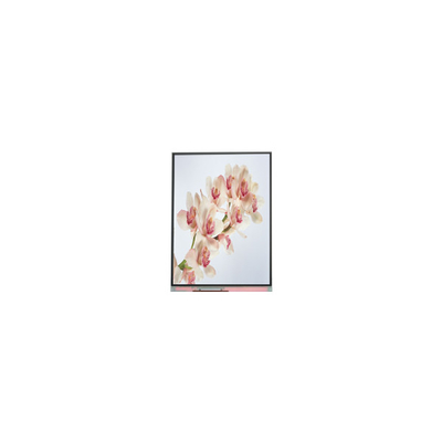 Bom preço C060SWA4-0 NOVO Display LCD IPS de 6,0 polegadas on-line