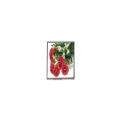 Bom preço 5.5 polegadas C055SWY2-1 LCD Display Screen para Telefone Móvel on-line
