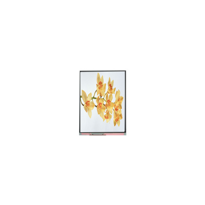 Bom preço C060SWY2-1 6.0 polegadas 480*854 TFT LCD Display Panel on-line