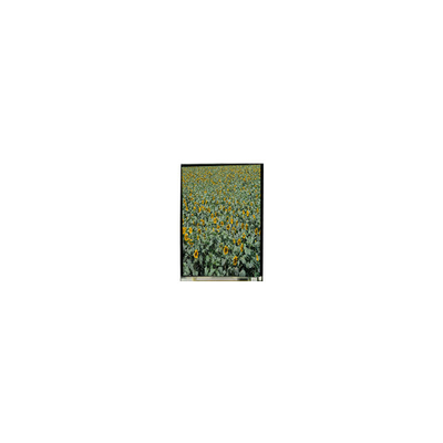 Bom preço 720*1280 LS053K3SX01 5,3 polegadas tft display LCD LCD on-line