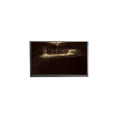 Bom preço P116NWR1 R6 11,6 polegadas TFT LCD Display Panel monitor on-line