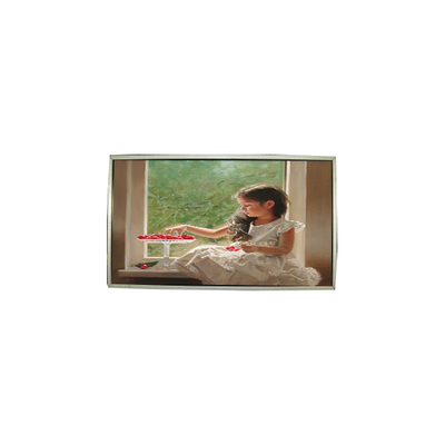 Bom preço Painel de tela LCD de 23,0 polegadas LTM230HT05-V 30 pinos 1920*1080 on-line