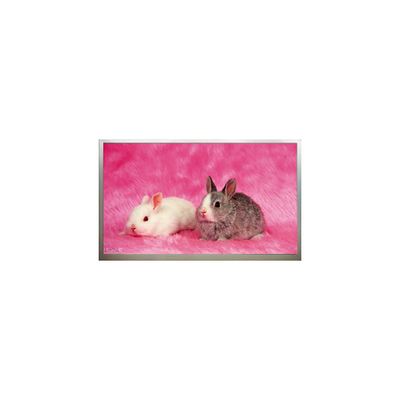 Bom preço Novo M236H3-P02 de 23,6 polegadas 1920*1080 Resolução Painel de Display LCD on-line