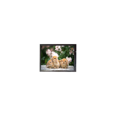 Bom preço 11.6 polegadas B116XAK02.0 1366*768 Laptop painel de tela LCD on-line