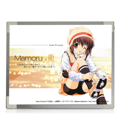 Bom preço M170EP01 V0 1028*1024 TN, conector de 69 pinos normalmente branco, transmissivo   Tela do portátil do LCD on-line